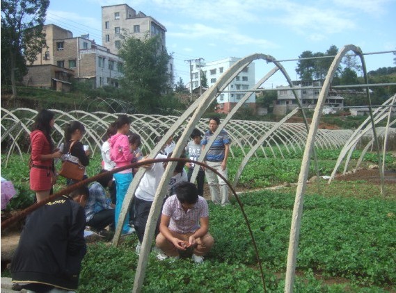 植物生产技术教学团队